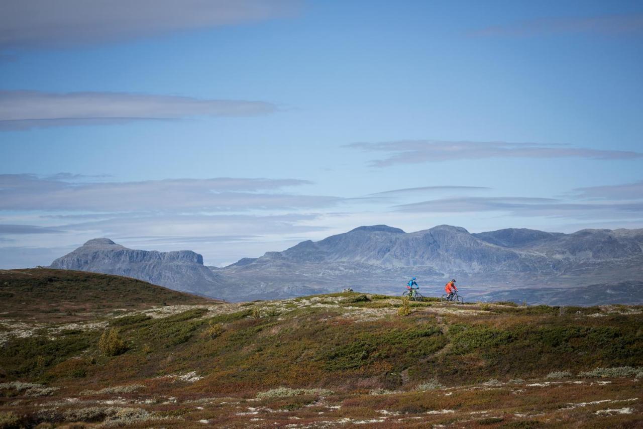 Villa Liapark Ål Esterno foto