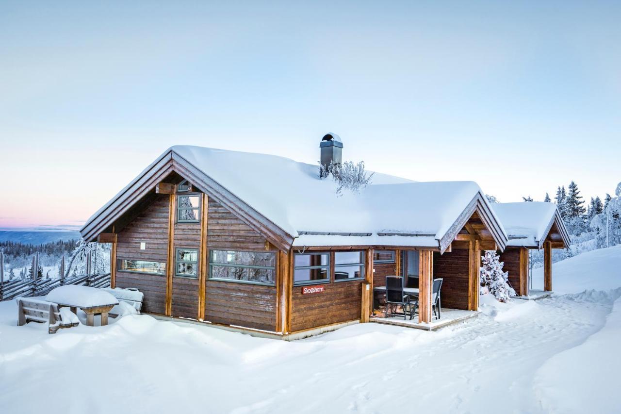 Villa Liapark Ål Esterno foto