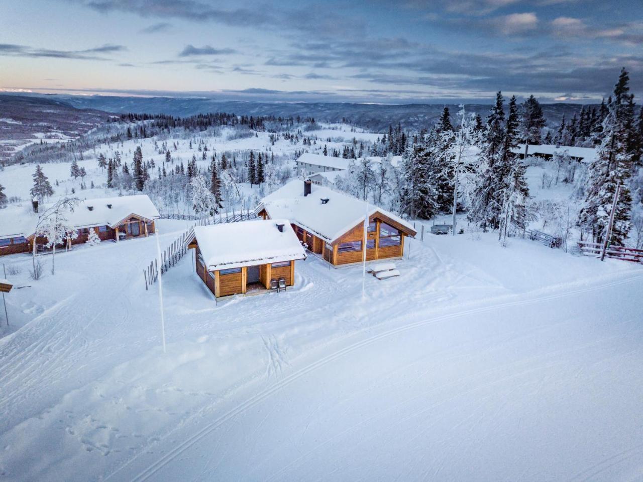 Villa Liapark Ål Esterno foto