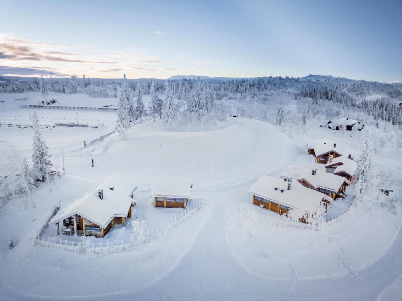 Villa Liapark Ål Esterno foto